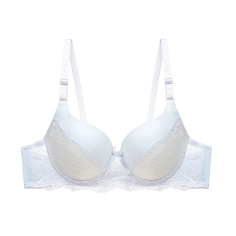 Sexy Lace Bra Floral Push Up