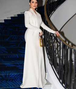 V-Neck Long Sleeves Dress