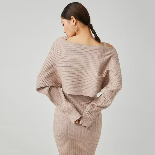 Camina Slim Dress and Small Sweater
