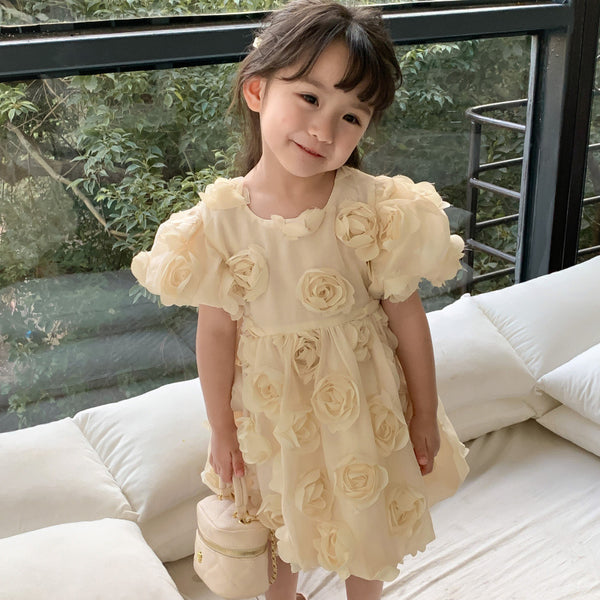 Beautiful Princess Dress with roses