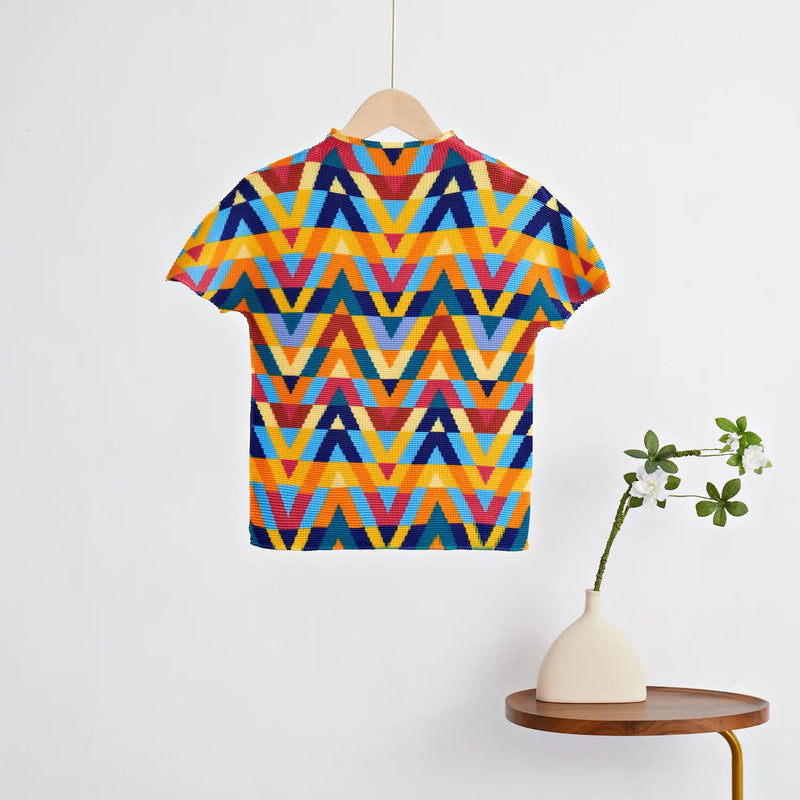 Pleated Style Long Pleated High Grade Pleated Half Skirt + Printed Top