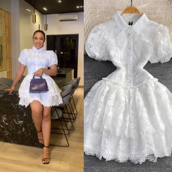 Elegant Vintage Lace Turn Down Collar Puff Sleeve Mini Dress