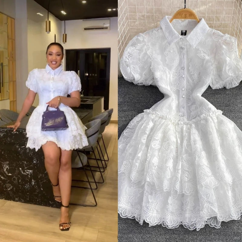 Elegant Vintage Lace Turn Down Collar Puff Sleeve Mini Dress
