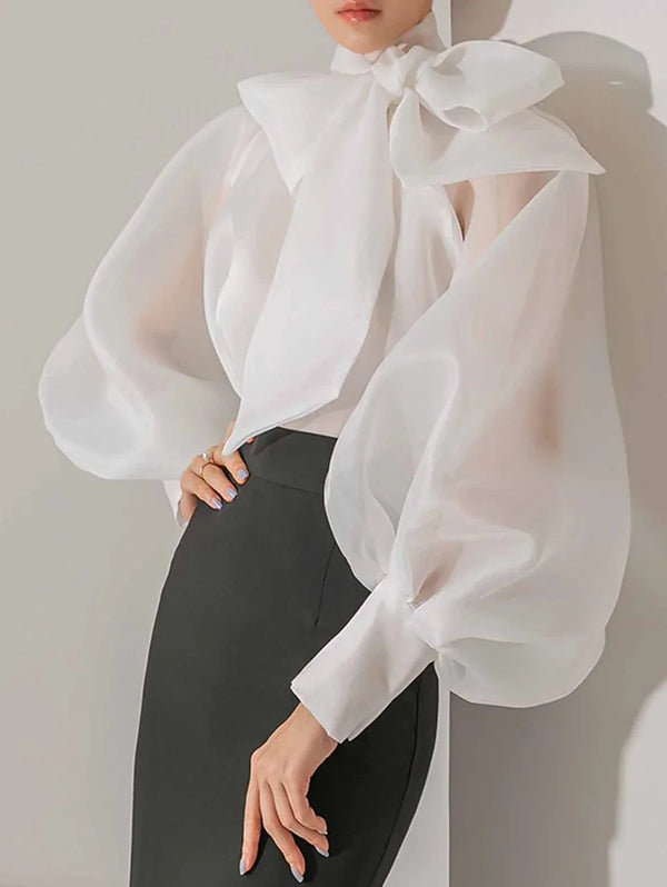 Elegant Long Sleeve Shirt Chiffon