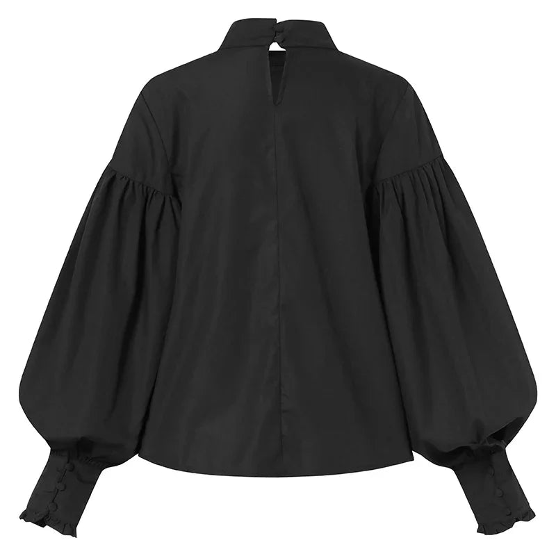 Blouses Tops Elegant Lantern Sleeve Chic