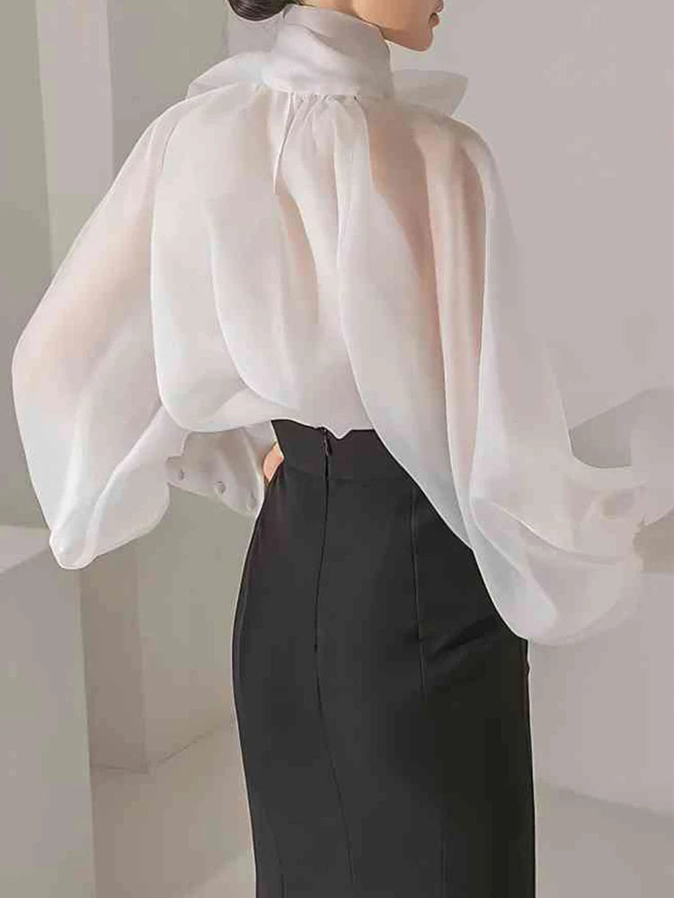 Elegant Long Sleeve Shirt Chiffon