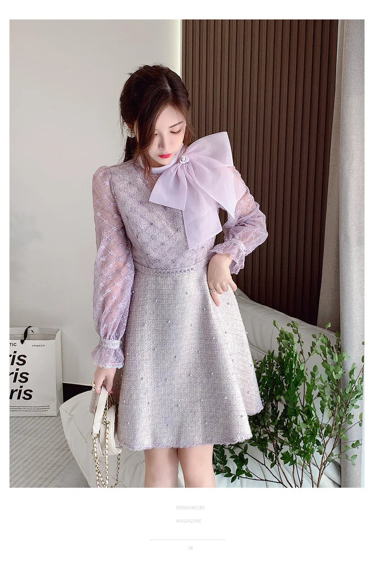 Elegant Bubble Long Sleeve Stand Collar Embroidery A-Line Dress