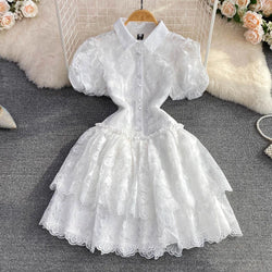 Elegant Vintage Lace Turn Down Collar Puff Sleeve Mini Dress
