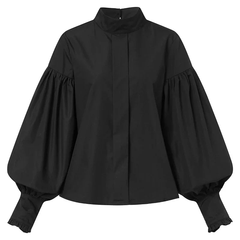 Blouses Tops Elegant Lantern Sleeve Chic