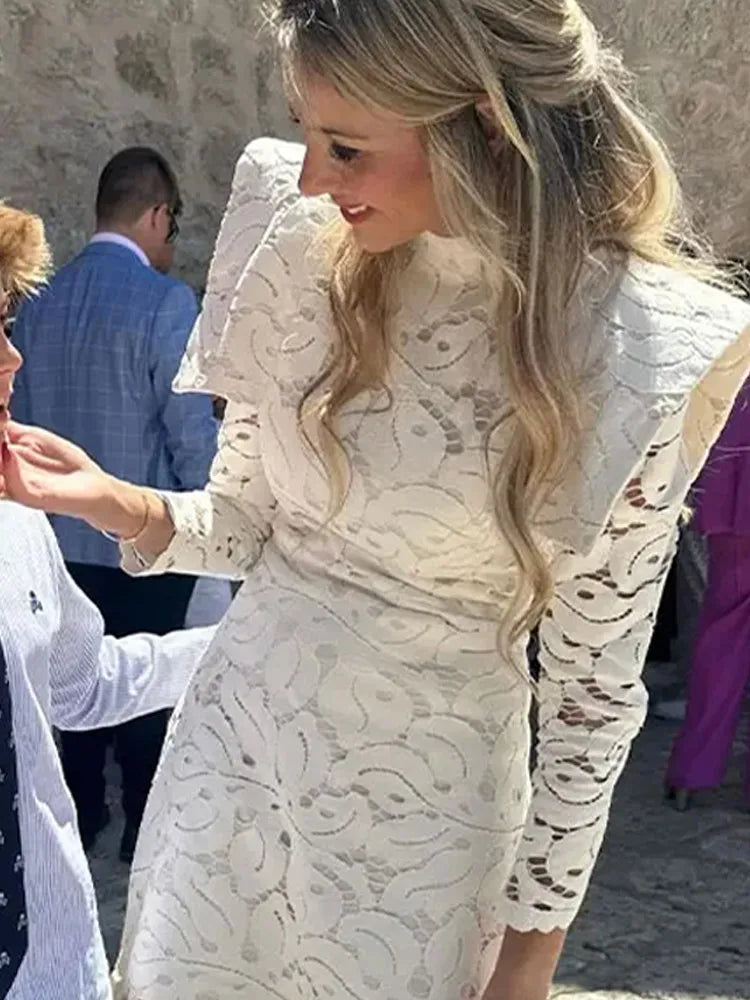 Elegant Lace High Collar Long Sleeve Slim Solid Dress